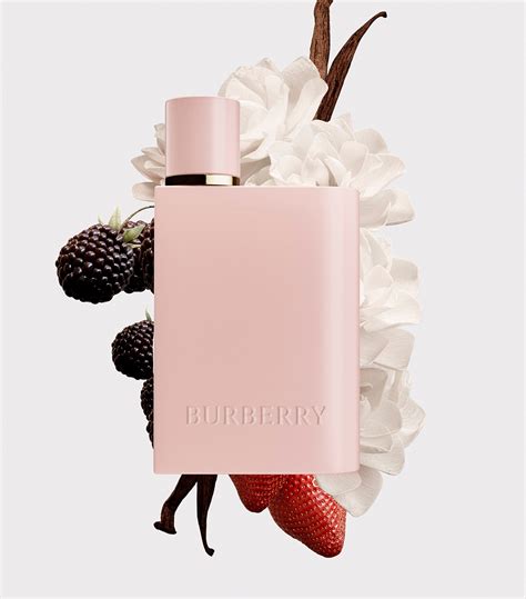 burberry her elixir nz|burberry her eau de parfum.